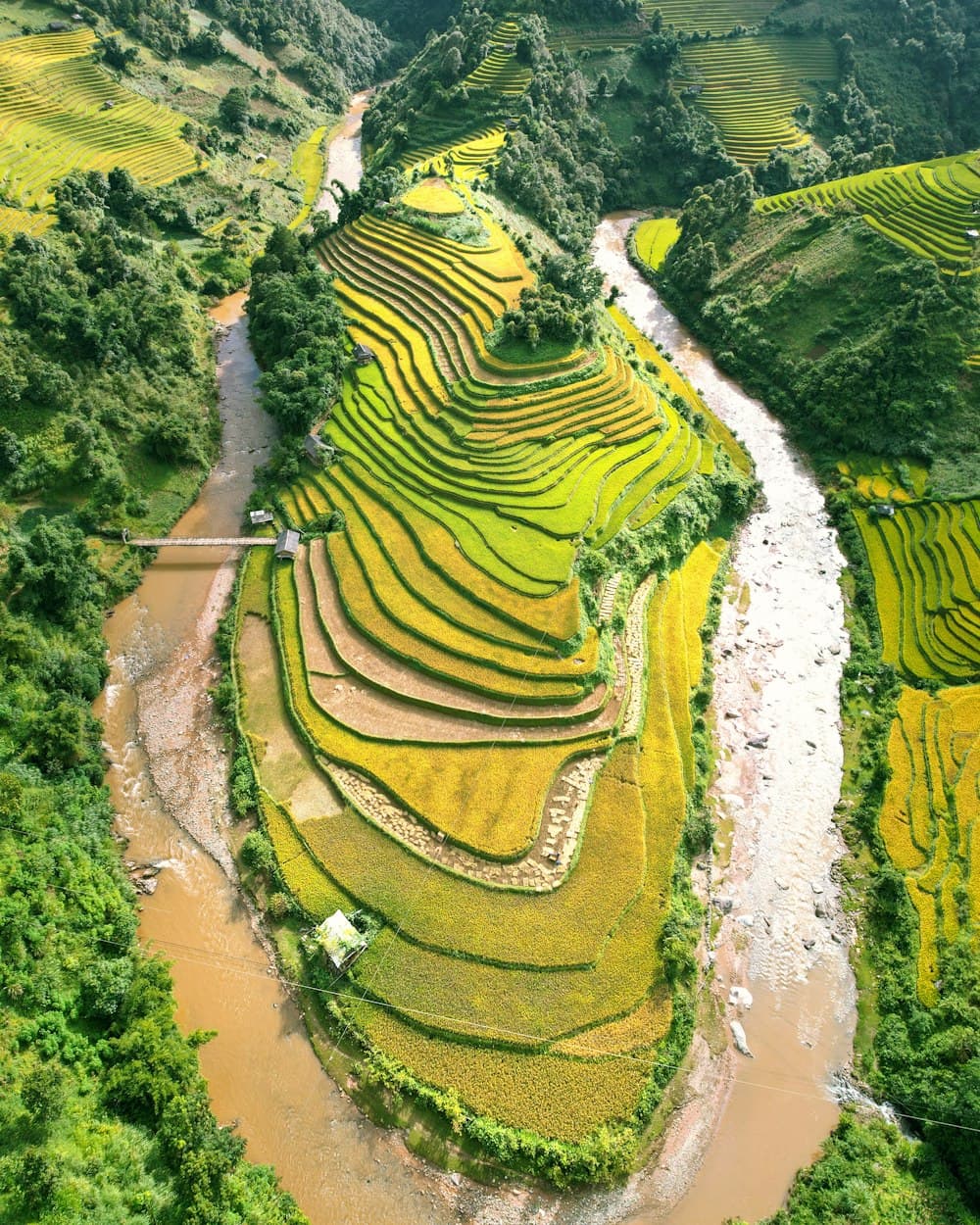 A river winding through a densely forested green valley